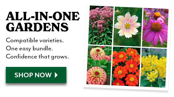 FLOWER COLLECTIONS