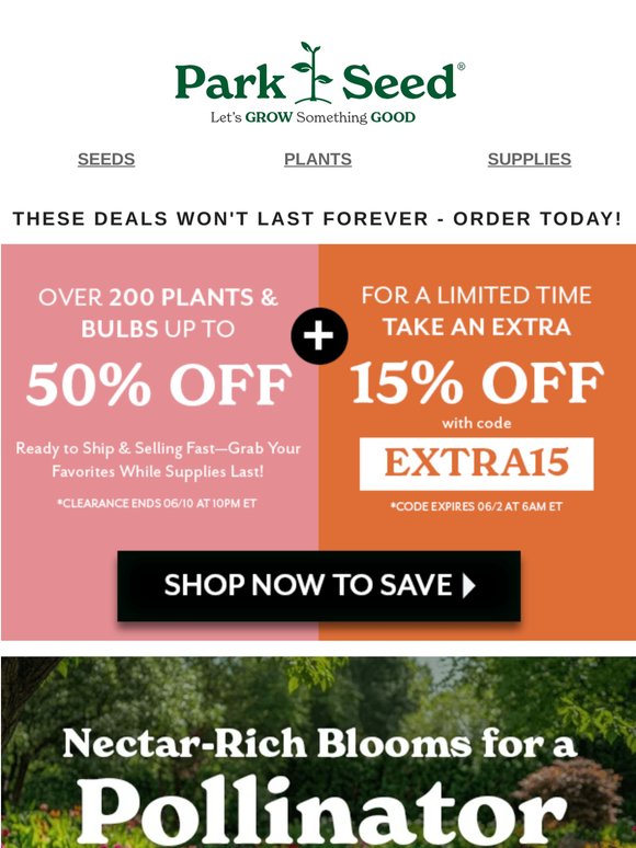 The Buzz Is Real: EXTRA Savings Have Been Added! 🐝