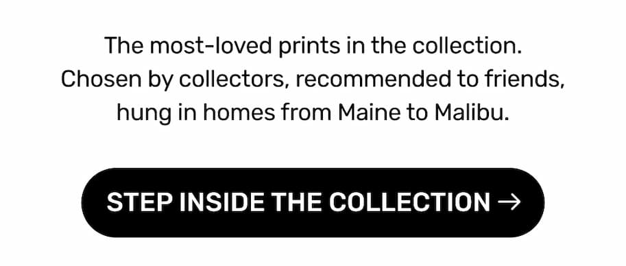 Step Inside The Collection →