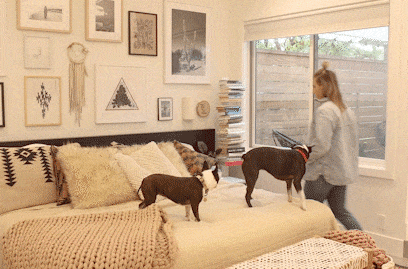 watch our motorized shades in action