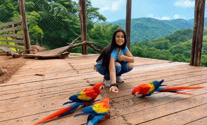 Conejo Pintado Panamá
