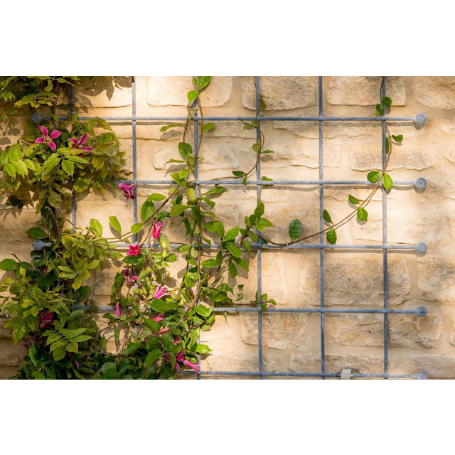 Southwold Decorative Wall Trellis Panels