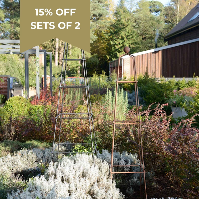 Vintage Wire Pyramid Garden Obelisk - Matt Black or Natural Rust - Harrod Horticultural - Large 2m High - Natural Rust - ARC-232