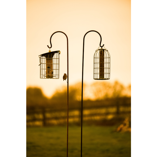 Shepherd's Crook Rust Finish Hanging Hooks - 5 Pack