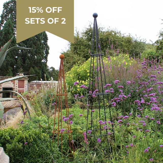 Vintage Cone Wire Obelisks - Matt Black or Natural Rust - Harrod Horticultural - 2.07m Extra Large Cone Obelisk Natural Rust ARC-278
