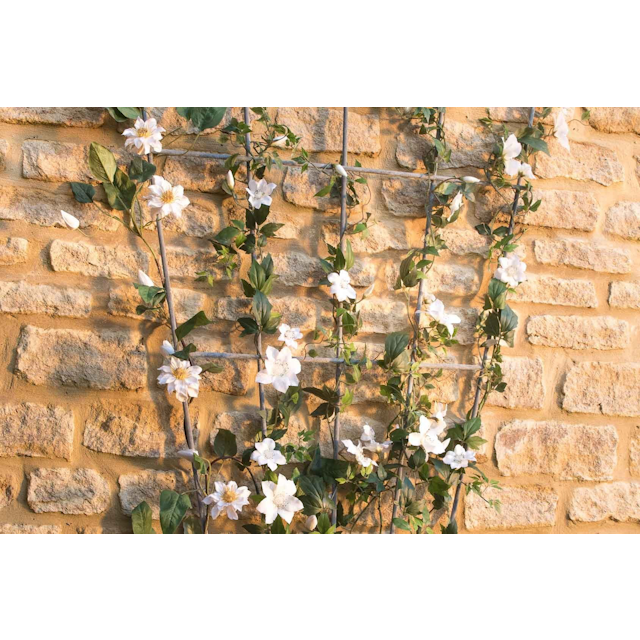 Southwold 5 Finial Fan Trellis