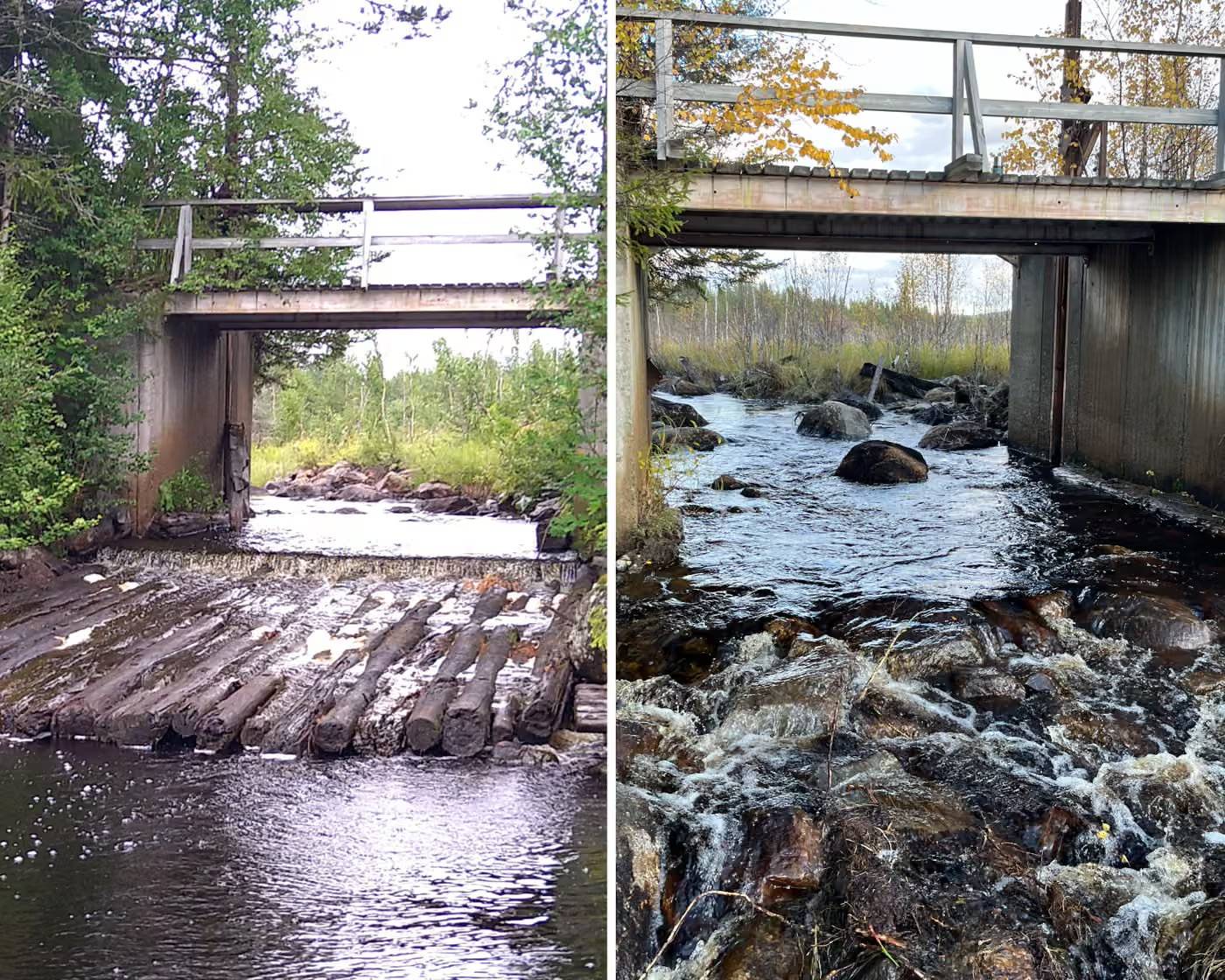 A water way before and after a dam is removed