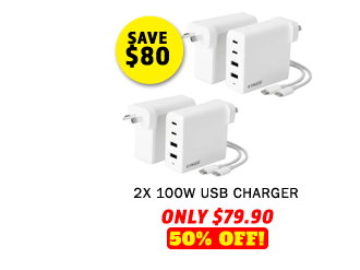 2x 100W USB Charger