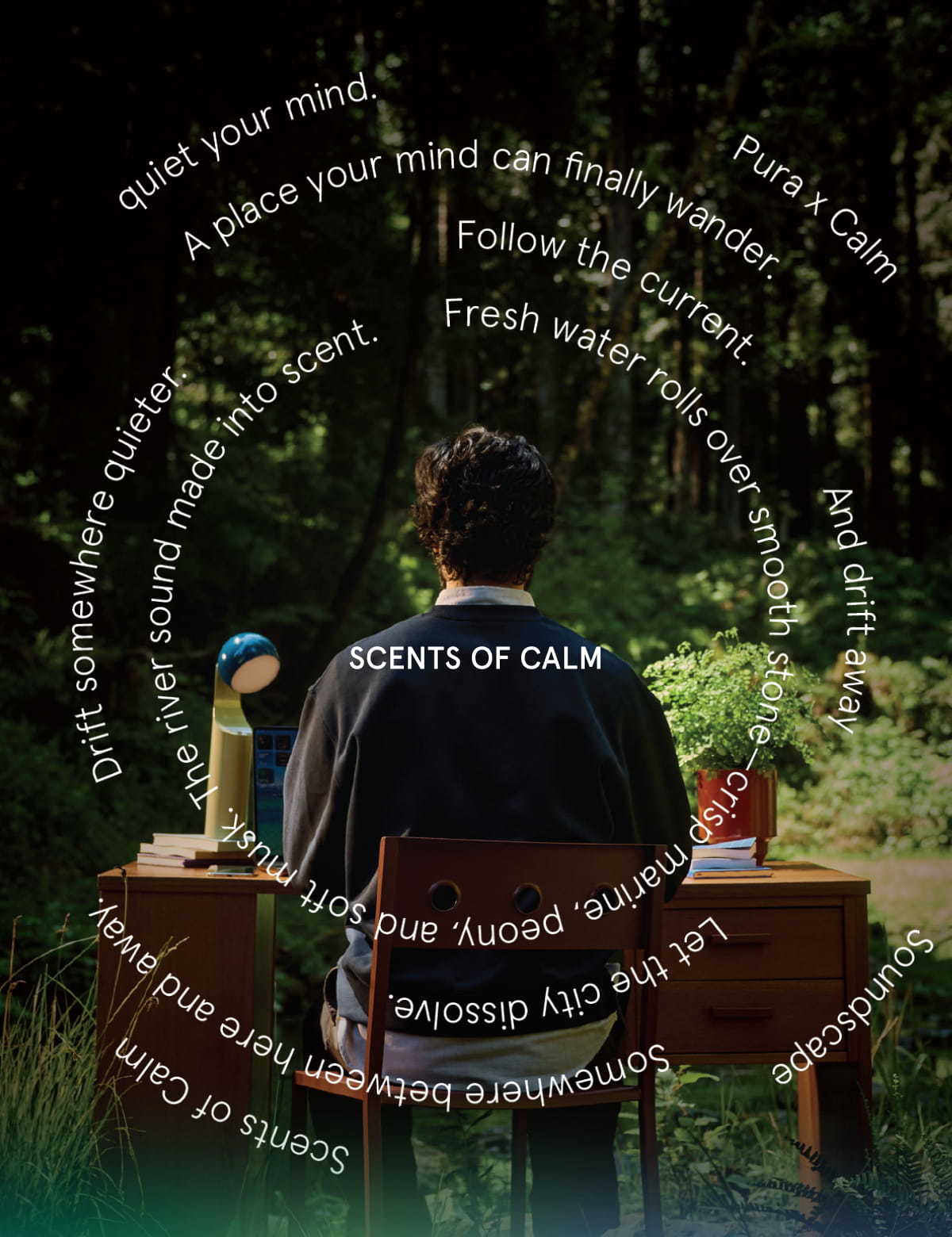 Scents of Calm