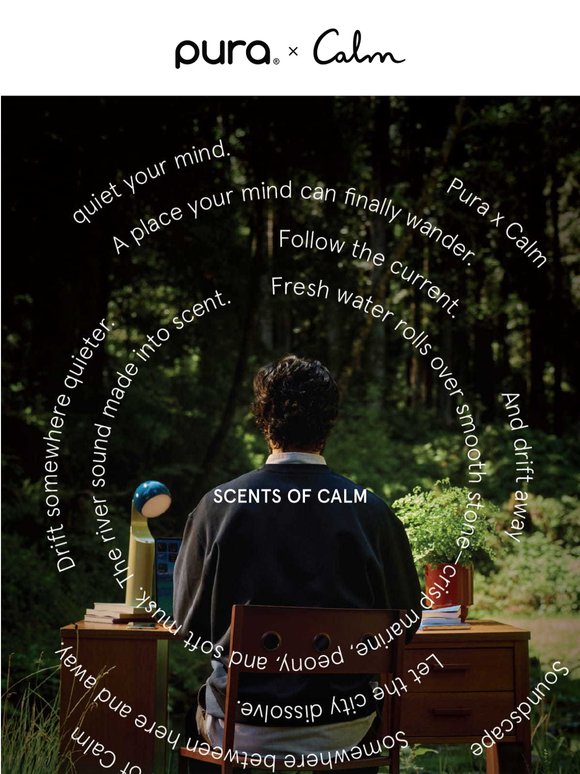Introducing: Pura x Calm