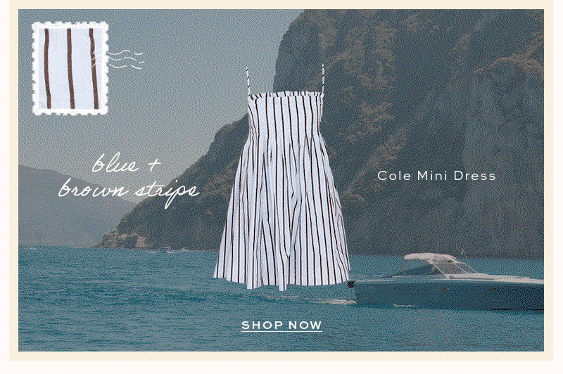 Shop Blue Brown Stripe