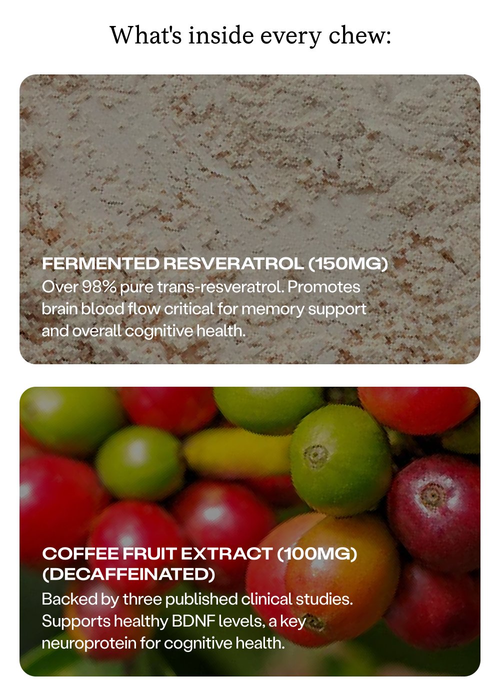What's inside every chew: Fermented Resveratrol (150mg) Over 98% pure trans-resveratrol. Promotes brain blood flow critical for memory support and overall cognitive health. Coffee Fruit Extract (100mg) (decaffeinated) Backed by three published clinical studies. Supports healthy BDNF levels, a key neuroprotein for cognitive health.