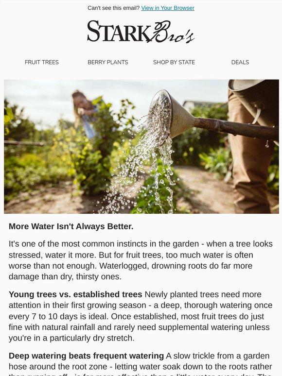 💧🌳 More Water Isn't Always Better - Here's Why