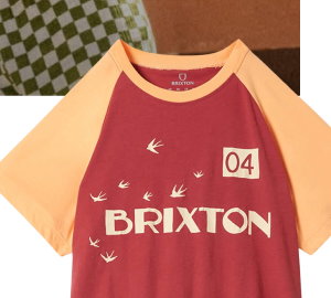 SWALLOW SKY CROPPED RAGLAN