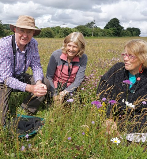 People in a field on a group walk observing nature