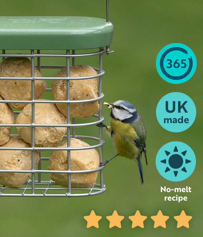 RSPB shop suet balls promotion