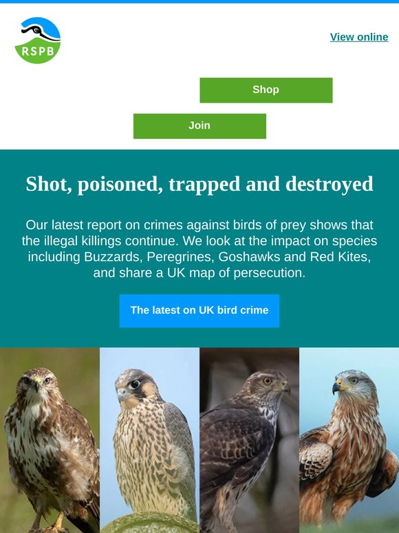 New report on UK bird crime