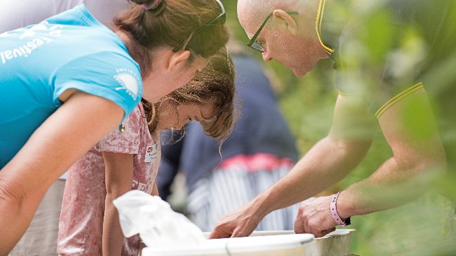 Attendees at Global BirdFair looking at insects