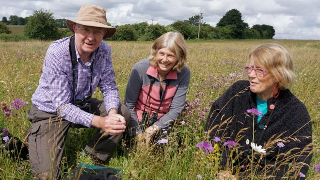 People in a field on a group walk observing nature