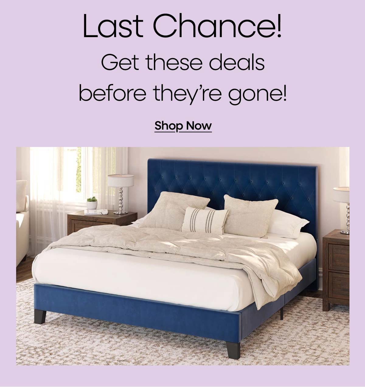 Last chance on deals before they are gone!