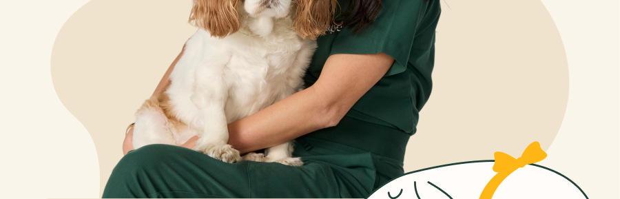 As a veterinarian, I often remind pet parents that gut health plays a much bigger role than digestion alone. A healthy gut helps support immune function, nutrient absorption, stool quality, and overall daily wellness.