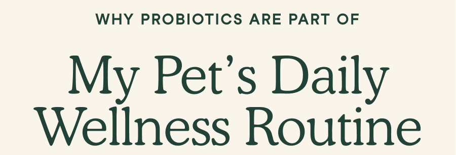 Why Probiotics Are Part of My Pet's Daily Wellness Routine
