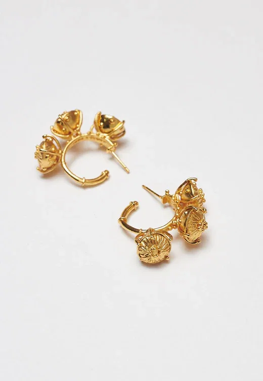 Maxi Sombreritos Hoops