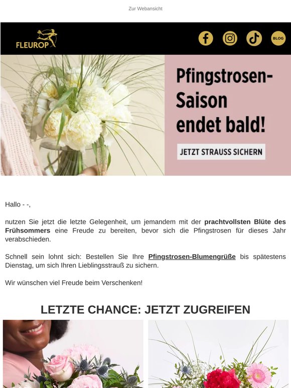 🔔 Letzte Chance auf Pfingstrosen: Jetzt oder nie!
