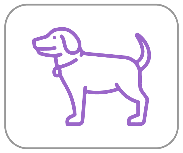 Hond Dierenapotheek