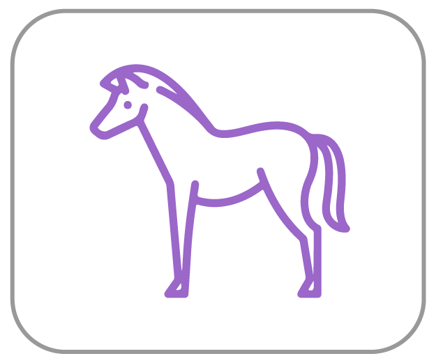 Paard Dierenapotheek