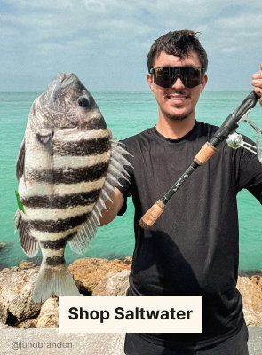 Shop Saltwater