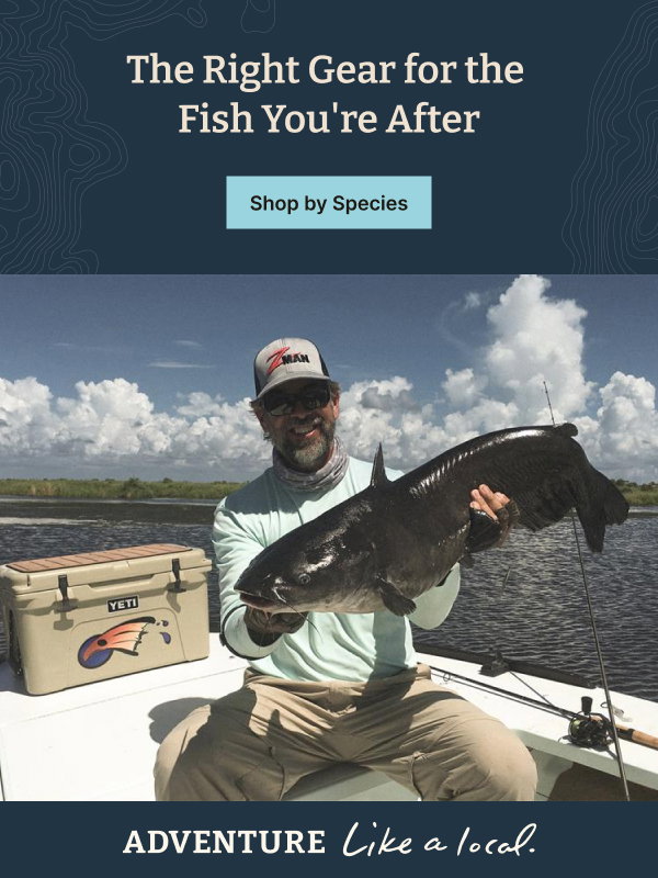 The Right Gear for the Fish Your After