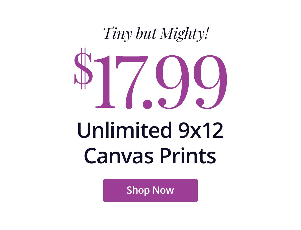 Tiny but mighty! Unlimited 9x12 Canvas Prints for $17.99 each! Shop Now