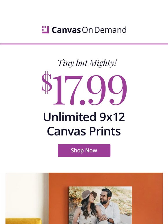Tiny but mighty savings! 💪 Only $17.99!