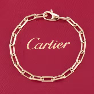 Cartier Santos de Cartier 18K Chain Bracelet