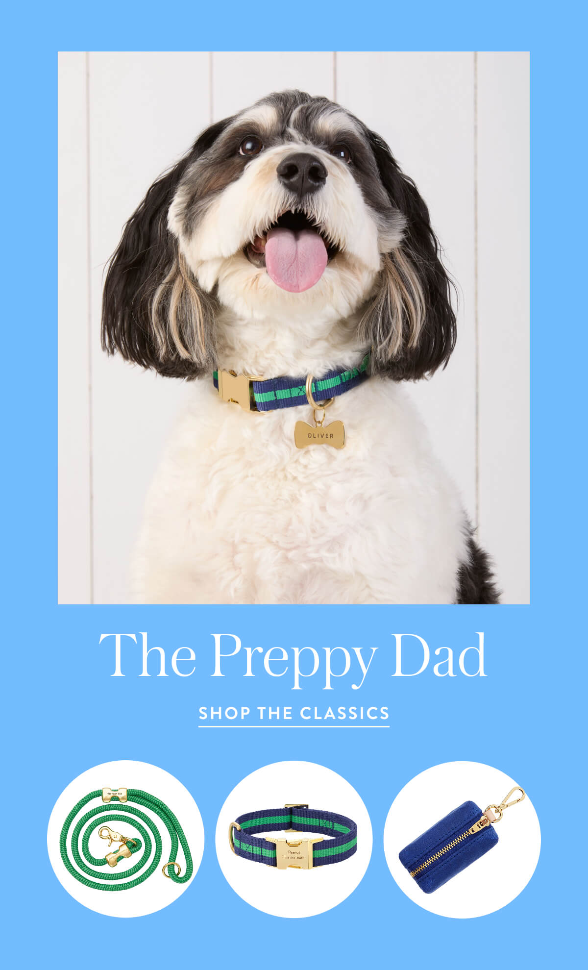Shop The Preppy Dad