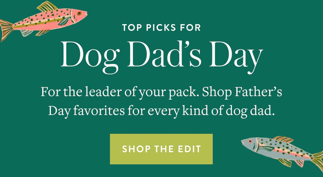 Shop The Edit