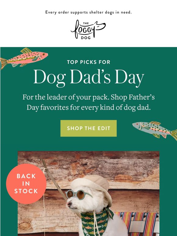 For the dog dad 🐾