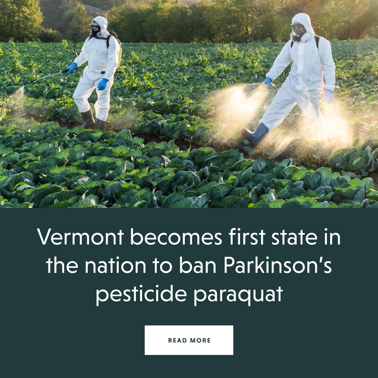 Vermont bans paraquat - READ MORE