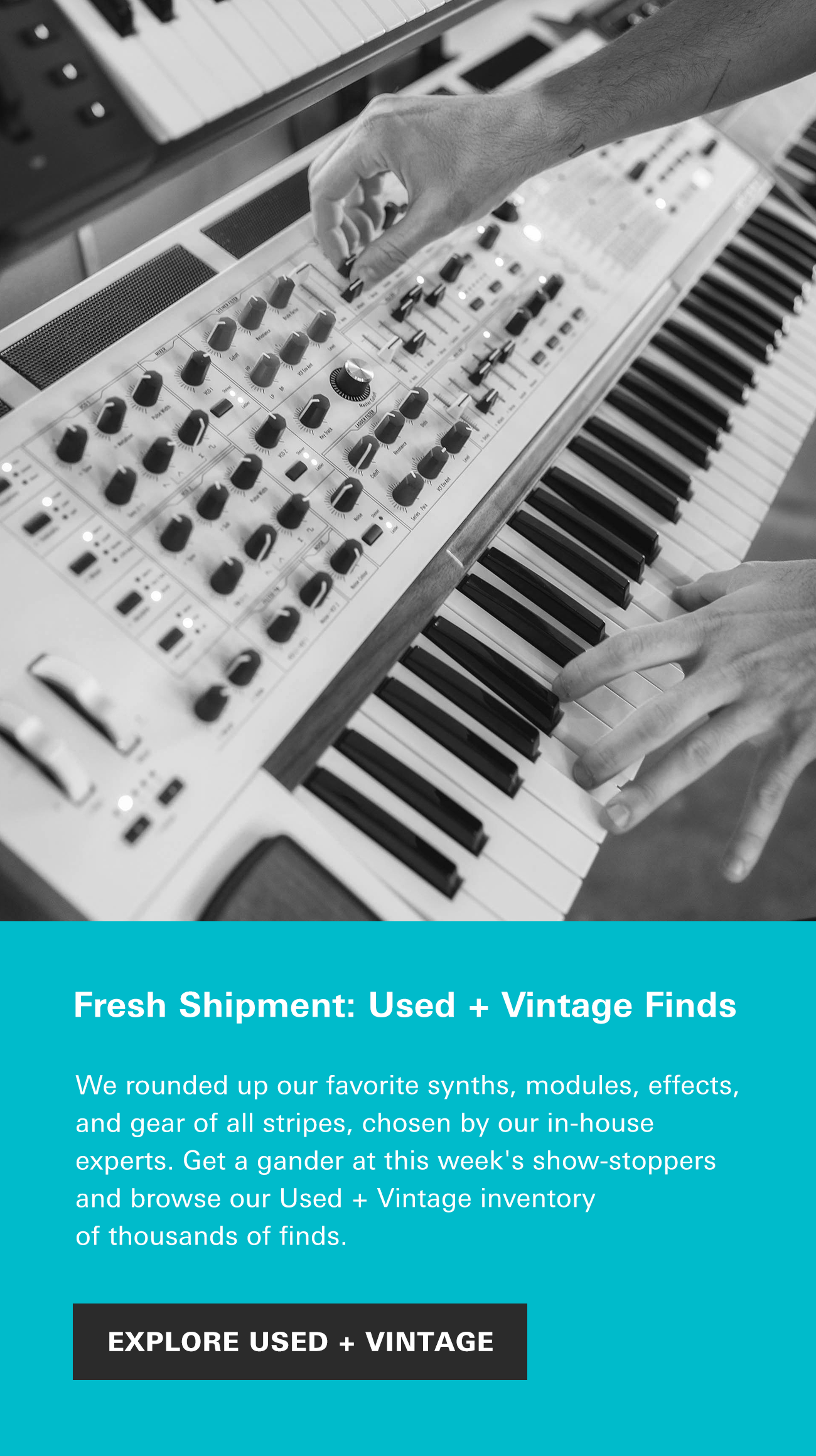 This Just In: Fresh Used + Vintage Finds!