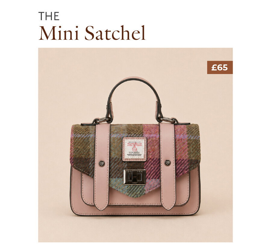 The Mini Satchel