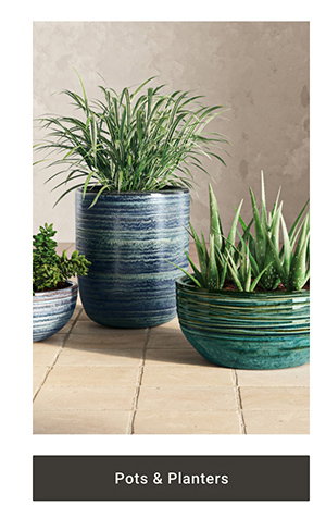 Pots & Planters