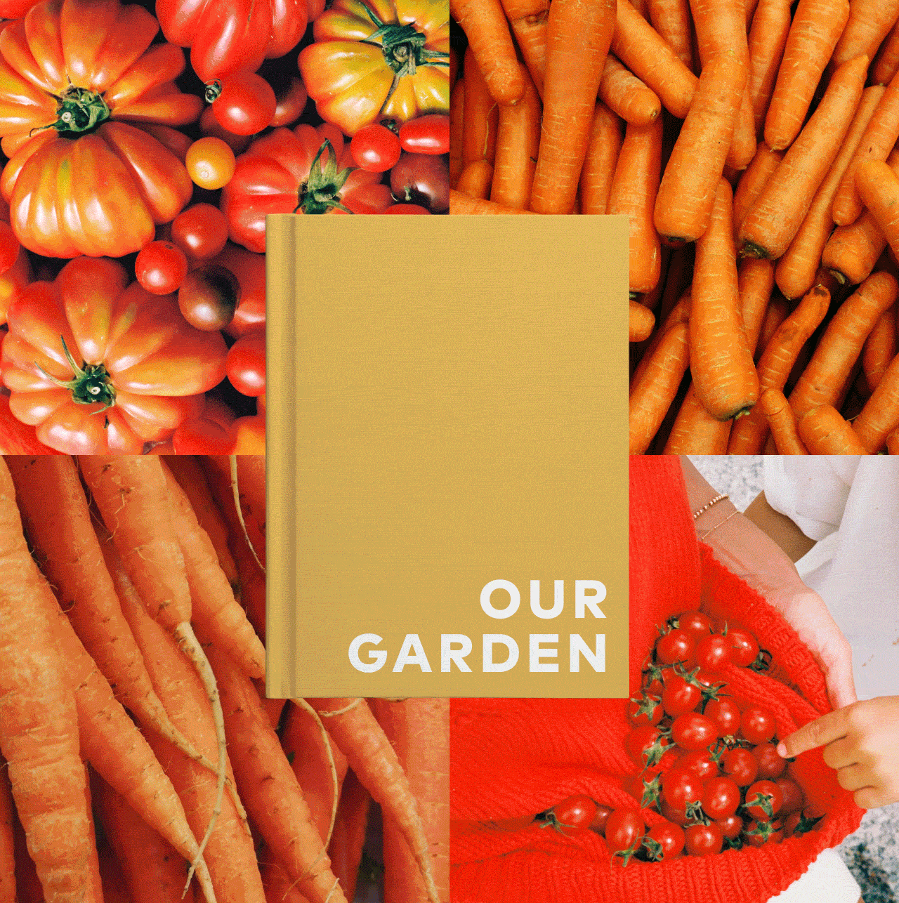 Buy One Photo-Wrapped Hardcover, Get One Free 