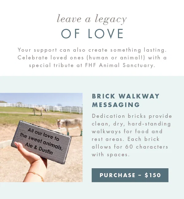 Purchase a dedication brick