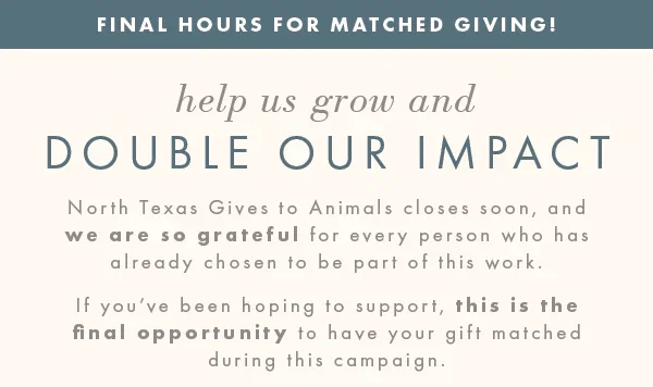Final Hours for Matched Giving