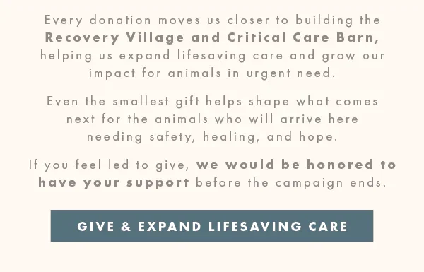 Give and Expand Lifesaving Care