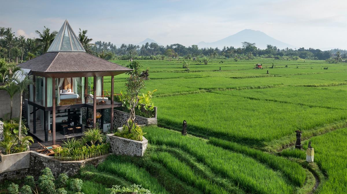 Ubud Adults-Only Wellness Sanctuary with Massages, Daily Breakfast & Nightly Dinner