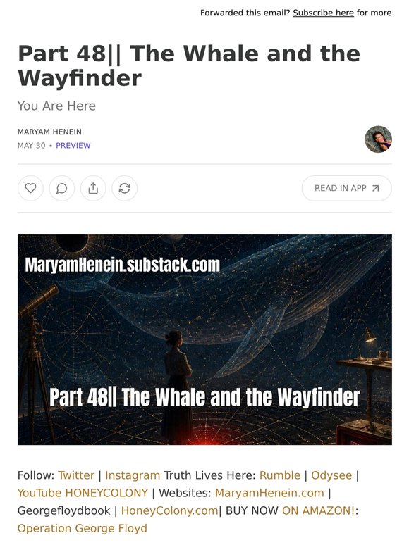 Part 48|| The Whale and the Wayfinder