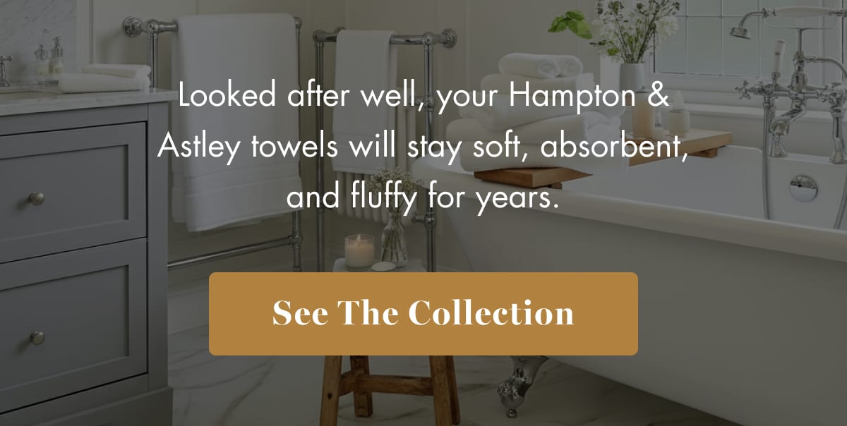 See The Collection