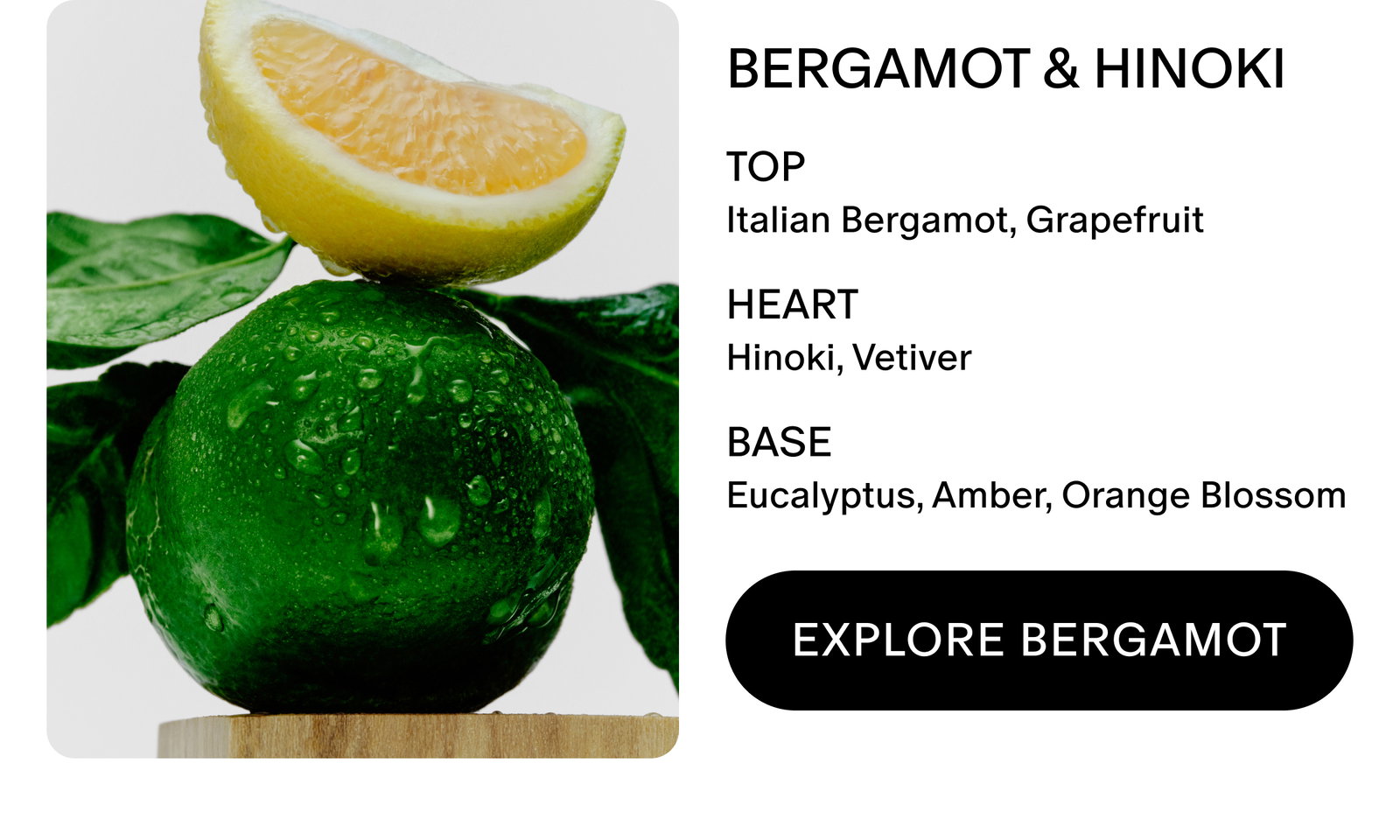 bergamot & hinoki scent notes